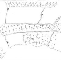 map.JPG