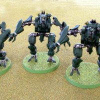 stmarauderapes1.jpg