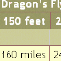 dragon flight.GIF
