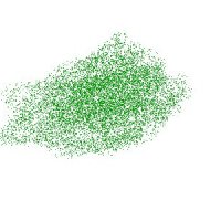 forest1.jpg