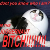 1174326255-JUGGERNAUT_CAT.jpg