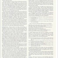 IMG_4230.jpeg