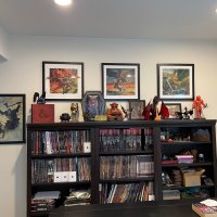 bookshelf.jpg