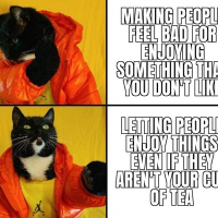IMG_2699.png