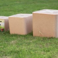 lick-salt-block-1024x682.jpg
