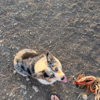 IMG_2207.jpeg