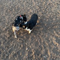 IMG_2208.jpeg
