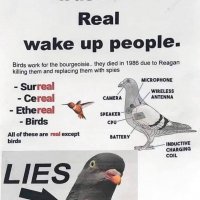 birds aren't real.jpg