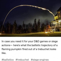 1747201845757.png