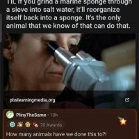 5824727A-F945-4424-98FD-764356A23053.jpeg