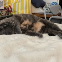IMG_1865 Medium.jpeg