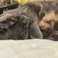 IMG_1866 Medium.jpeg