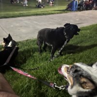 IMG_2377.jpeg