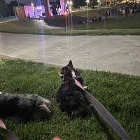 IMG_2378.jpeg