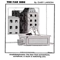 Anatidaephobia The Far Side.jpg