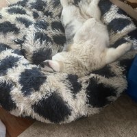 IMG_2413.jpeg