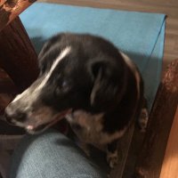 1750132311253.jpeg