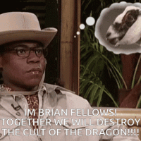 brianfellows.gif