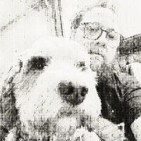dog5.png