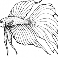 1751112526848.png