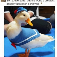 1751197928498.png