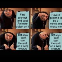 IMG_0210.jpeg