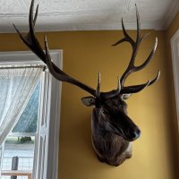 IMG_0659.JPEG