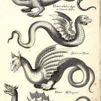 Historiae_naturalis_de_quadrupetibus_libri_-_cum_aeneis_figuris;_(Historiae_naturalis_de_serpe...jpg