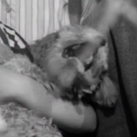 Cleo from 5 to 7 #2.png