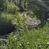 IMG_0699.JPEG