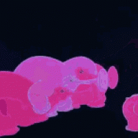 1000000674.gif