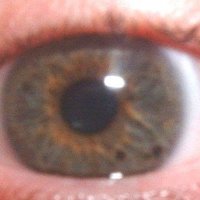 eye1a.jpg