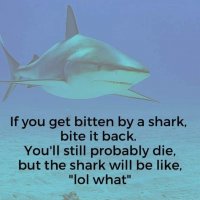 IMG_0506.jpeg