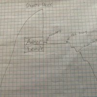 1753897541143.jpg