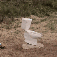 toilet-explode-unexplode.gif