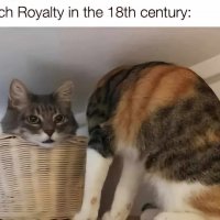 IMG_0518.jpeg
