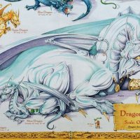 Dragon Size Chart.jpg