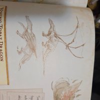 20250810_093655.jpg