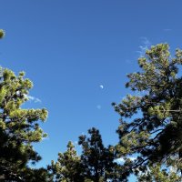 IMG_0746.JPEG