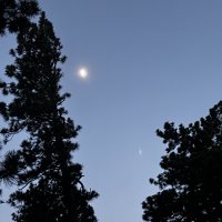 IMG_0752.JPEG