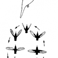 1754959446965.png