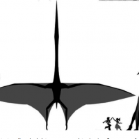 1754964745232.png