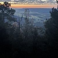 IMG_0755.JPEG