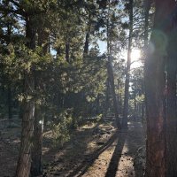 IMG_0764.JPEG