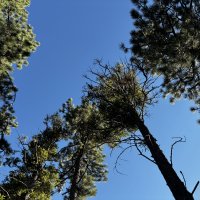 IMG_0780.JPEG
