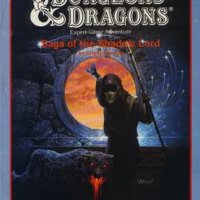 X11_TSR9165_Saga_of_the_Shadow_Lord.jpg