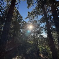 IMG_0766.JPEG