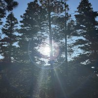 IMG_0781.JPEG