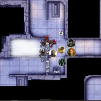 spiders.png