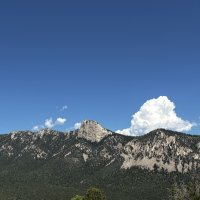 IMG_0798.JPEG